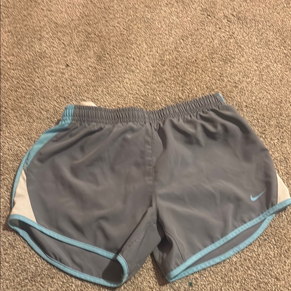 Nike Women's Gray and Blue Shorts